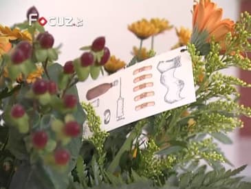 Gezonde Zorg: Samen Sterk-revalidatieprogramma