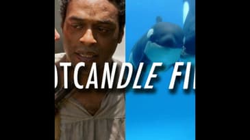 Footcandle Films: 12 Years A Slave & Blackfish