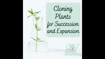 Cloning Plants for Succession and Expansion -Ep. 198