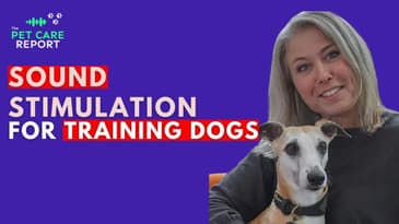 Sound Stimulation To Help Dog Behavior