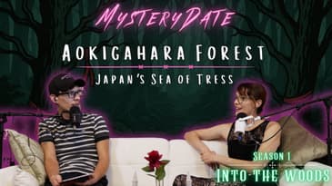 Aokigahara Forest | Japan's Sea of Trees