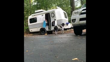 Tetris with the Trailer