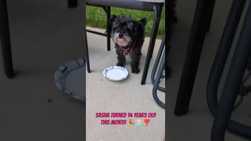 Sasha is 14❗☺️