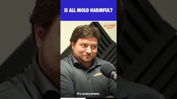 Shocking Facts About MOLD