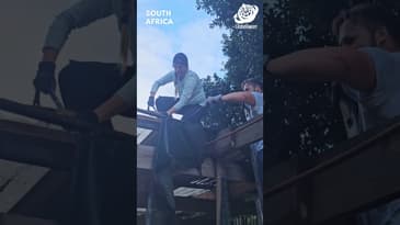 She's Not Scared of Spiders Up There! South Africa with Globe Aware (CHG EVT Group)