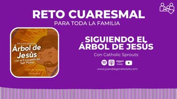 Dia 10RETO: En familia día a día con el Árbol de Jesús hasta la Pascua
