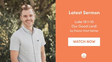 Luke 19:1-10 -- Our Good Lord!