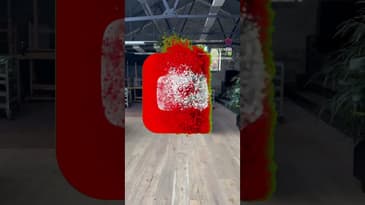 Hawaiian Sunset - Aloha 2024 #sunset #hawaiian #aloha #summer2024