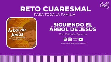 RETO: En familia día a día con el Árbol de Jesús hasta la Pascua de la mano del Evangelio de San...