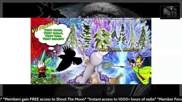 Herbs Are Heaven Sent and Created in the Perfection of Nature