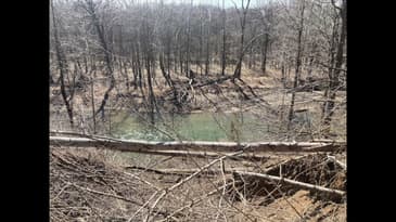 The Delphi Murders: The Murder Sheet Episode #83: "Who is Tony Kline? Part One"