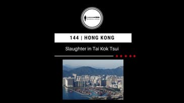 144. Hong Kong | Slaughter in Tai Kok Tsui