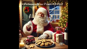 Portuguese Wine Primer #2: Port! (A Winter Warmer!)