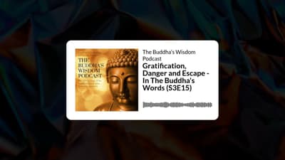 Gratification, Danger and Escape - In The Buddha's Words (S3E15) | The Buddha’s Wisdom Podcast