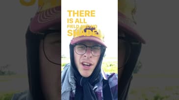 ☀️ Don't mess with the sun!  #mortician #undertaker #shorts