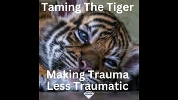 Taming The Tiger Webinar Replay