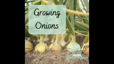 Ep. 133 - Growing Onions