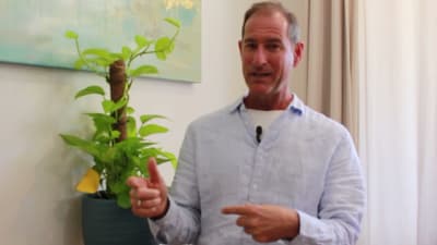 Part 2 The difference between mental health and inner well being