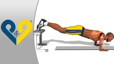 Piegamenti - piedi in appoggio su panca