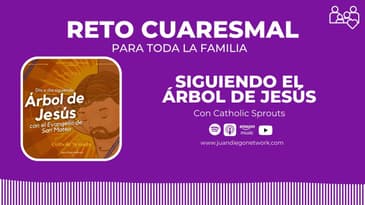 Día #1 - RETO: En familia día a día con el Árbol de Jesús