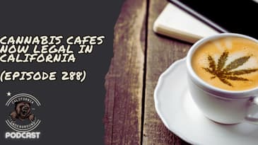 Cannabis Cafes Now Legal in California
