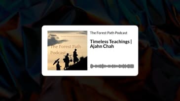 Timeless Teachings | Ajahn Chah | The Forest Path Podcast