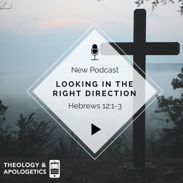 Looking in the Right Direction - Hebrews 12:1-3