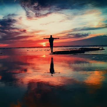 Episode 214 // Healing through the wilderness