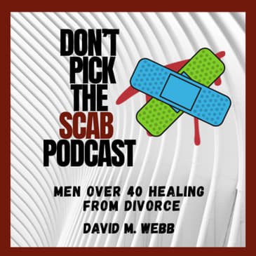 The Sh!t Sandwich in your Divorce Recovery - Andra Davidson || Don’t Pick the Scab Podcast || David M. Webb