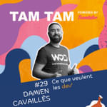 #29 - Ce que veulent les dev’ - Damien Cavaillès