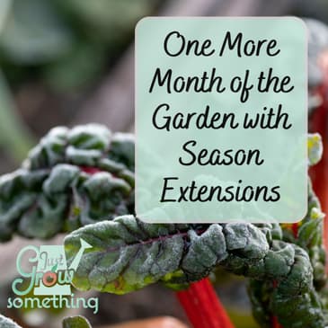 One More Month of Harvests - Ep. 274