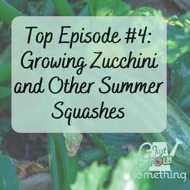 Top Episode 4: Growing Zucchini - Ep. 174