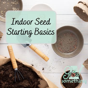 Successful Indoor Seed Starting - Ep. 237
