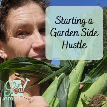 Starting a Garden Side Hustle - Ep. 208