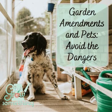 Garden Amendments and Pets: Dangerous Mulch, Moldy Compost, Mycotoxins and More - Focal Point Friday