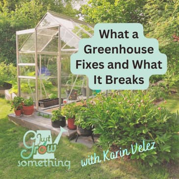 Greenhouse Tradeoffs: Heat, Humidity, Pests, and Practicality - Ep. 293