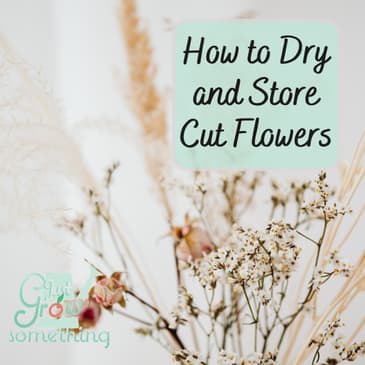 How to Dry and Store Cut Flowers - Ep. 219
