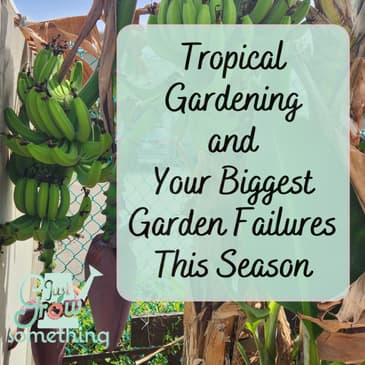 Tropical Gardening, Plus Your Biggest Garden Failures of the Season - Ep. 223