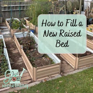 Layer by Layer: How to Fill a New Raised Bed - Ep. 267