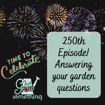 Potatoes, Transplants, Insect Netting, and More: Garden Q&A for Episode 250