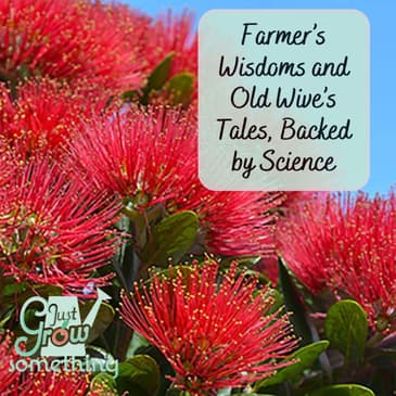 Gardening by Nature’s Signs: Old Wisdom Backed by Science - Ep. 241
