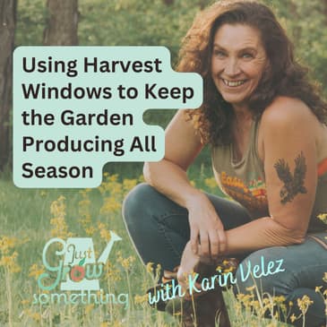 How to Keep the Garden Producing All Season - Ep. 283