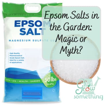 Epsom Salts - Magic or Myth? - Ep. 206