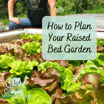 How to Plan a Raised Bed Garden - Ep 269
