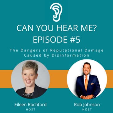 The Reputational Dangers of Disinformation and More...