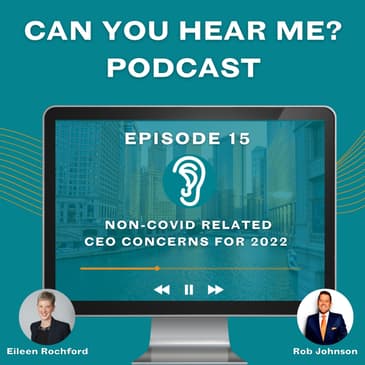 Non-Covid Related CEO Concerns for 2022