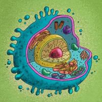 Tế bào nổi loạn