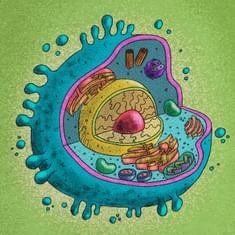 Tế bào nổi loạn