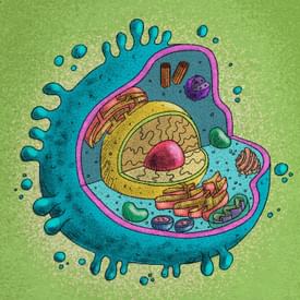 Tế bào nổi loạn