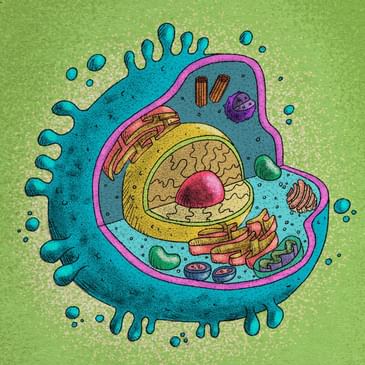 Tế bào nổi loạn